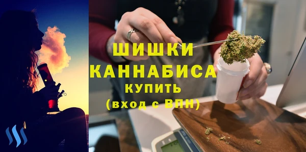 ПСИЛОЦИБИНОВЫЕ ГРИБЫ Аркадак