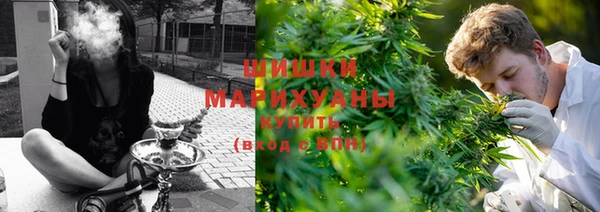 ПСИЛОЦИБИНОВЫЕ ГРИБЫ Аркадак