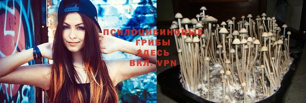 ПСИЛОЦИБИНОВЫЕ ГРИБЫ Аркадак