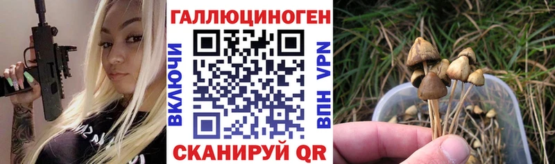Галлюциногенные грибы мухоморы  Аша 